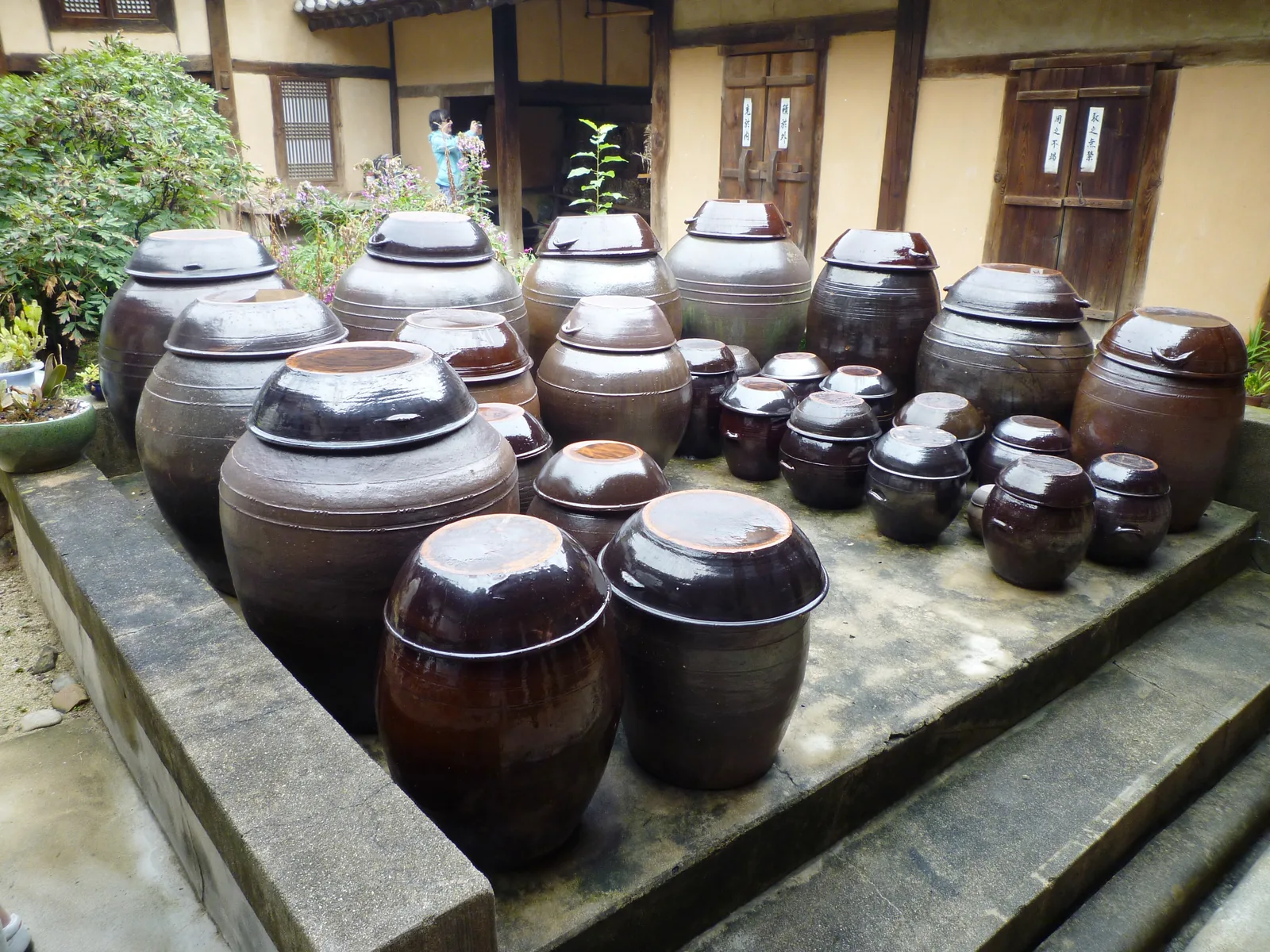 A collection of traditional onggi (glazed earthenware) kimchi storage jars of various sizes arranged in the courtyard of a Korean house — the vessels traditionally buried in the ground to maintain consistent cool temperatures through winter for kimjang kimchi fermentation, central to the UNESCO-inscribed practice (File 00881, 2013)