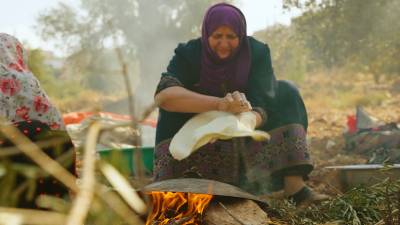 Al-Mihrass tree: knowledge, skills and rituals associated with it