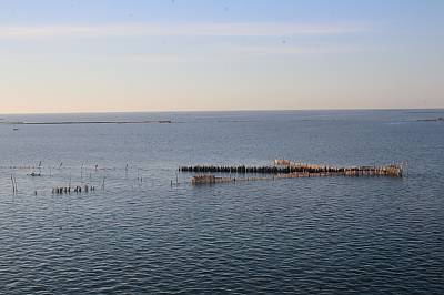 Charfia fishing in the Kerkennah Islands