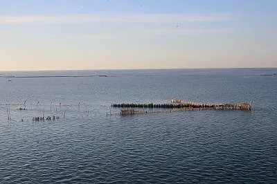 Charfia fishing in the Kerkennah Islands
