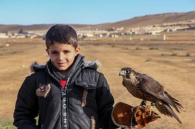 Falconry, a living human heritage