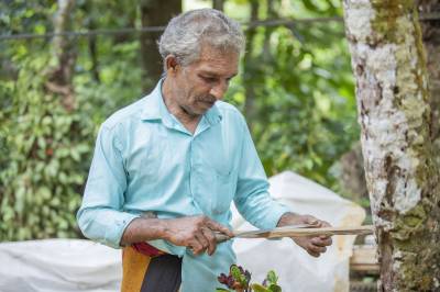 Kithul Madeema/Kithul Kapeema, an ancient indigenous technology for tapping Kithul in Sri Lanka