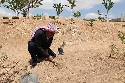 Practices and craftsmanship associated with the Damascene rose in Al-Mrah