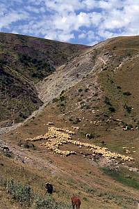 Traditional art of Azerbaijani carpet weaving in the Republic of Azerbaijan