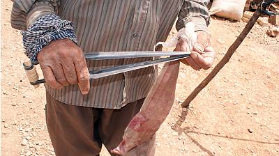 Traditional skills of carpet weaving in Fars