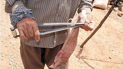 Traditional skills of carpet weaving in Fars